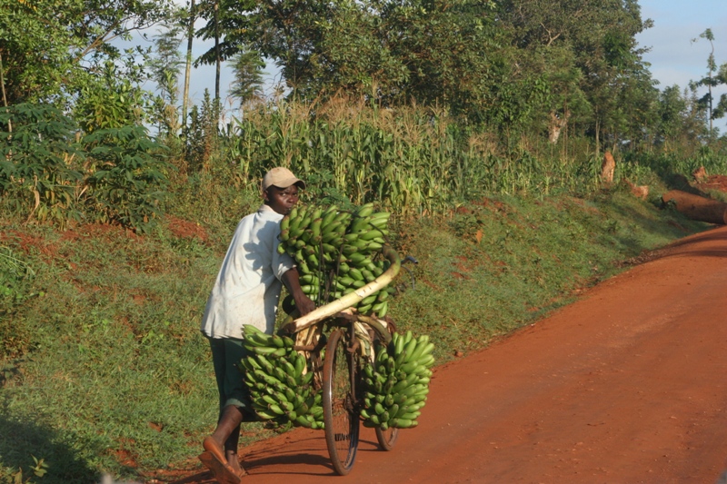 01_Mbale_Jinja.JPG