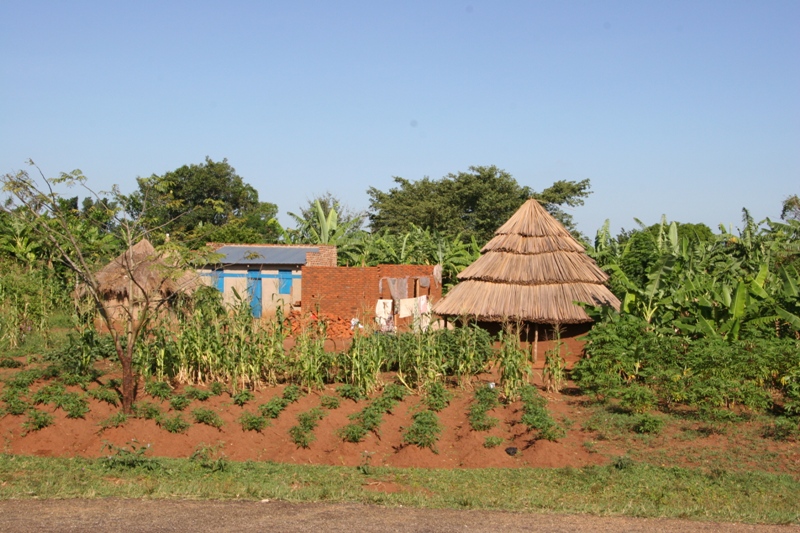 04_Mbale_Jinja.JPG