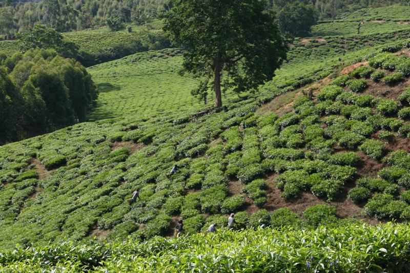 15_Masaka_Buhoma.JPG