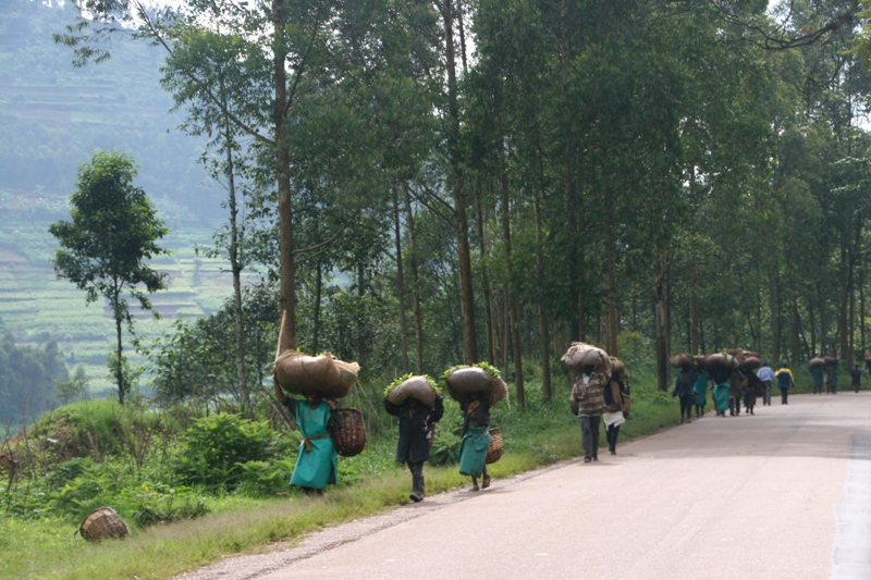 21_Ruanda.JPG