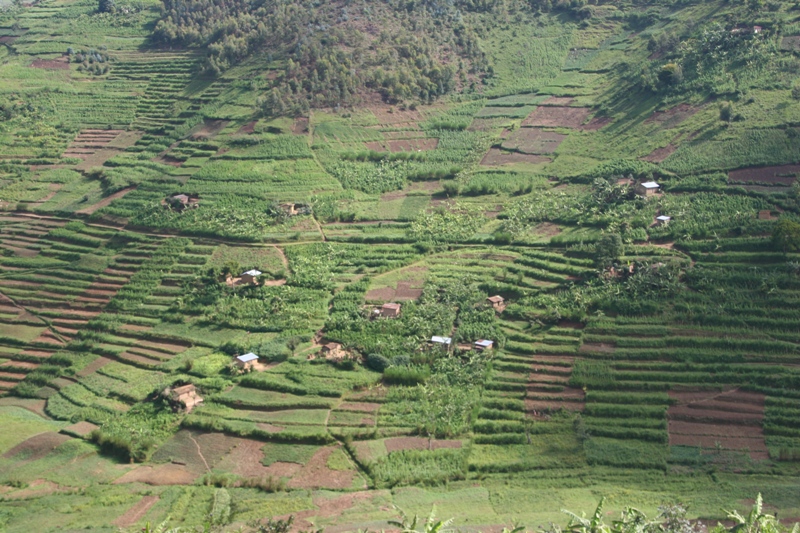22_Ruanda.JPG