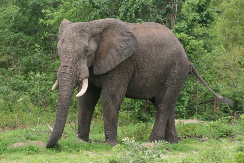 34_Botswana.JPG