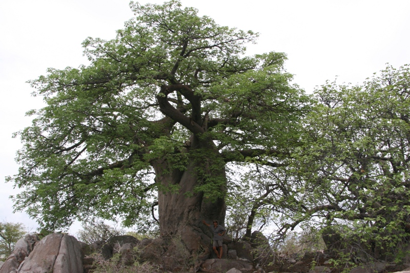 36_KubuIsland.JPG
