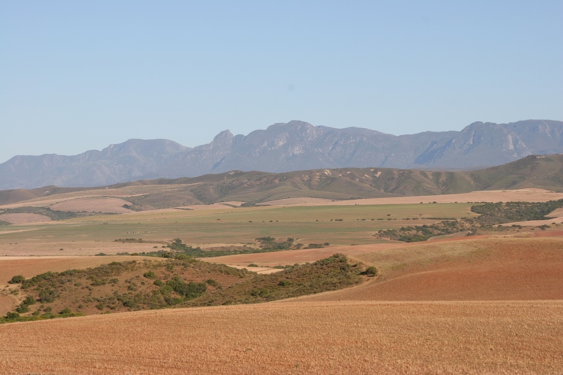 45_GardenRoute.JPG