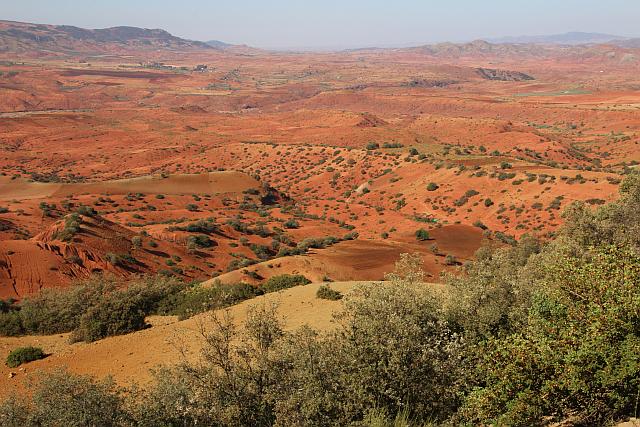 45_Boumia_Foret_de_Maamora.jpg