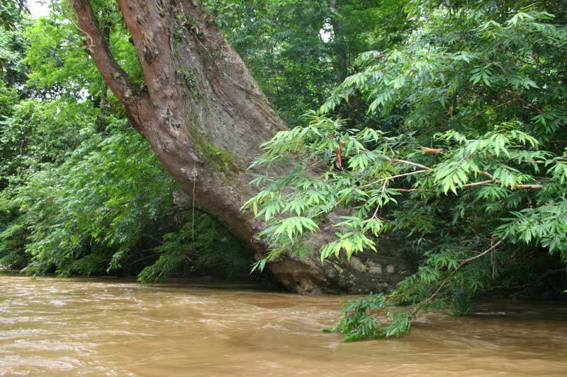 Taman Negara Nationalpark