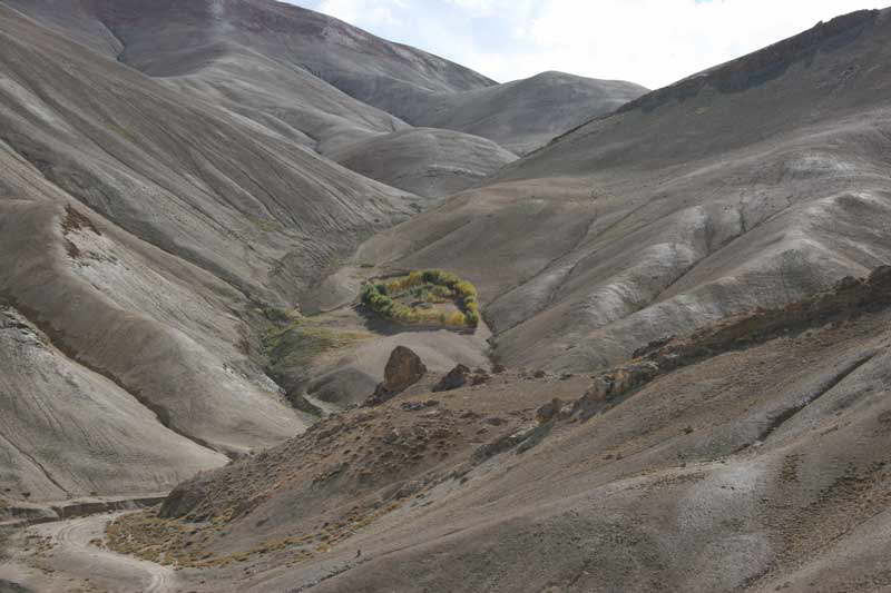 Ladakh - Grne Oase