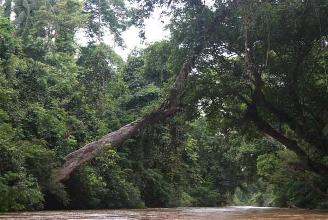 Taman Negara Taman Negara