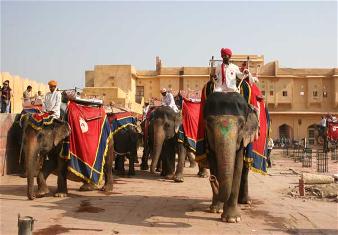 Amber Fort