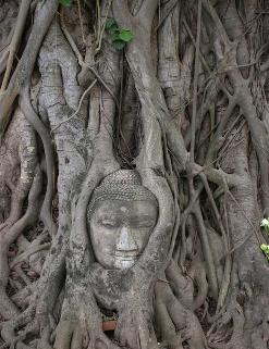 Kamphaeng Phet Kamphaeng Phet