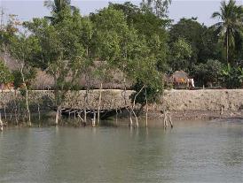Sunderbans Sunderbans