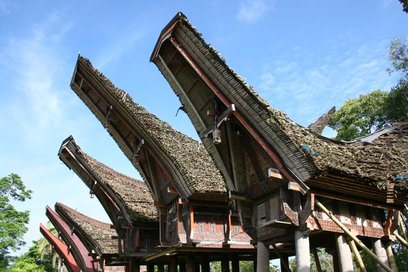 Beschreibung