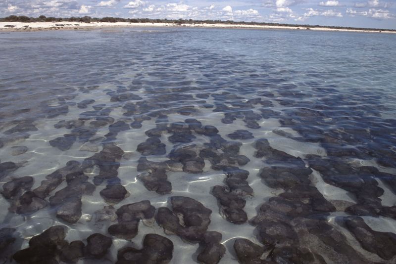 44_KarijiniNP_NambungNP_36.jpg