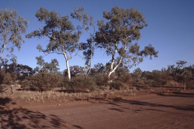 7_Fremantle_Wiluna.jpg