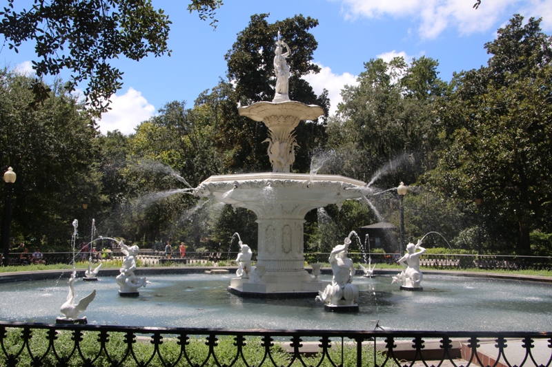 10_Savannah.JPG