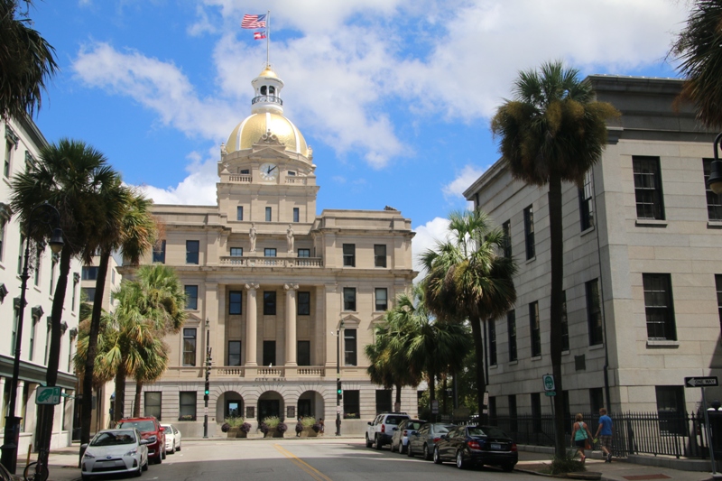 6_Savannah.JPG