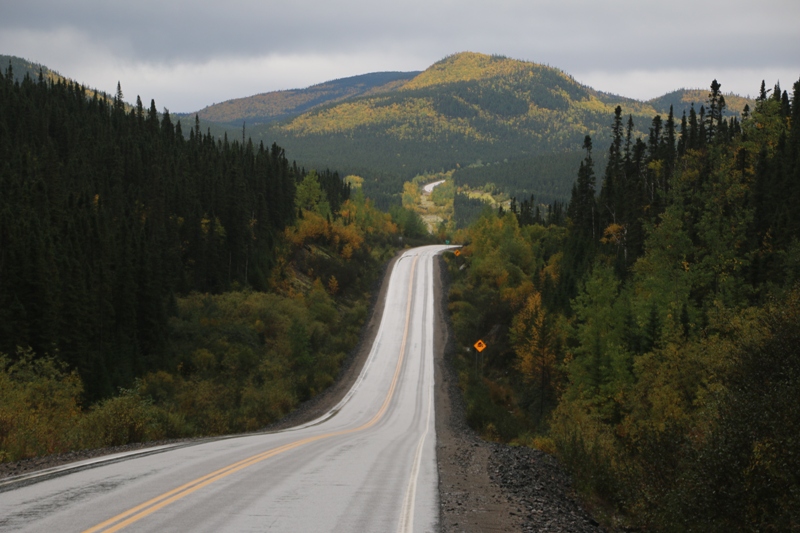 34_Labrador.JPG