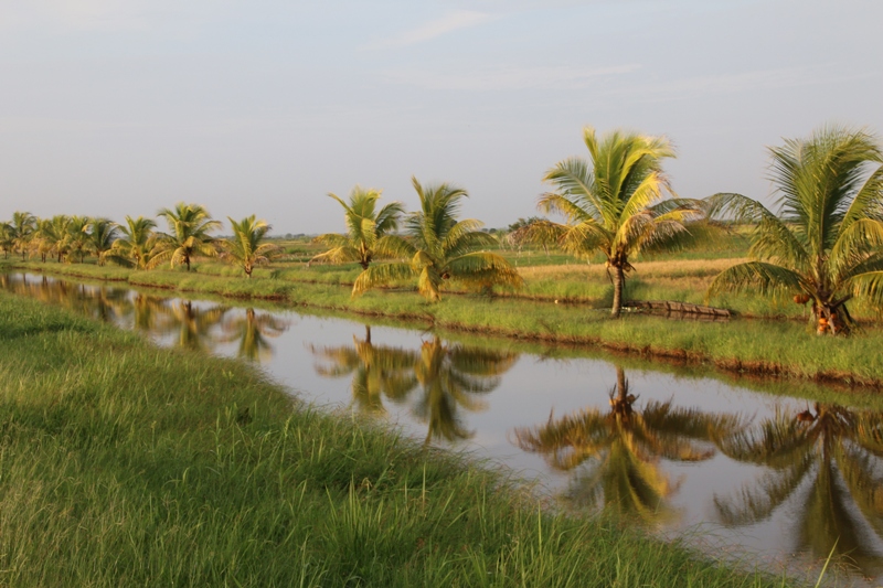 29_Surinam.JPG