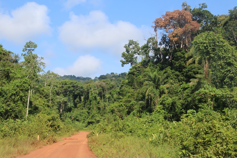 45_Georgetown_Lethem.JPG