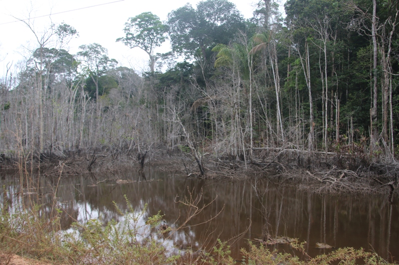 61_Manaus_PortoVelho.JPG